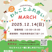 画像377
