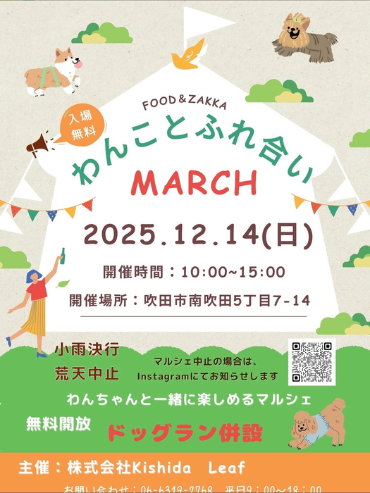 画像377