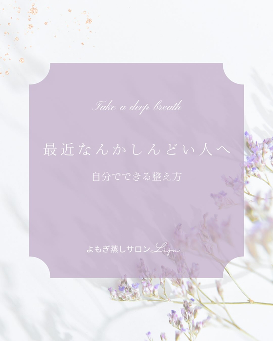 画像542