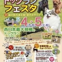 画像551
