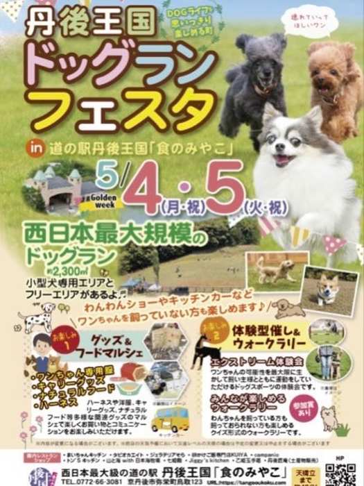 画像551