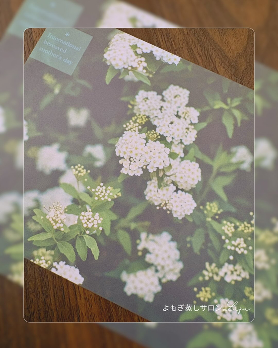 画像555