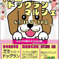 画像570