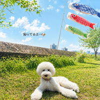 画像572