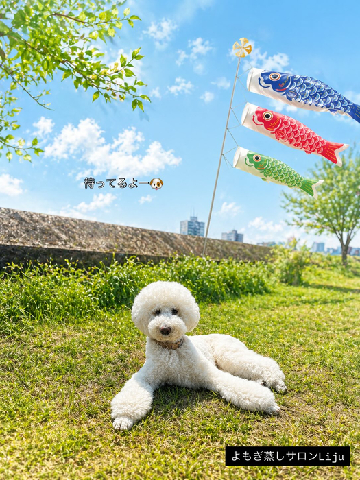 画像572
