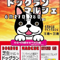 画像609
