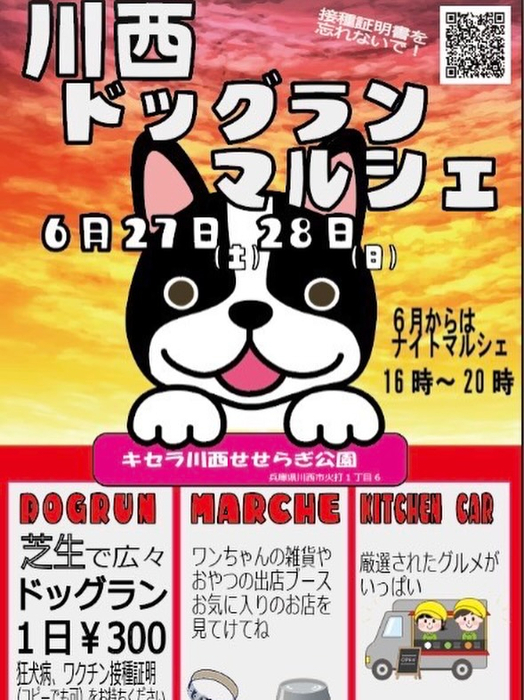 画像609