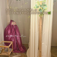 画像666